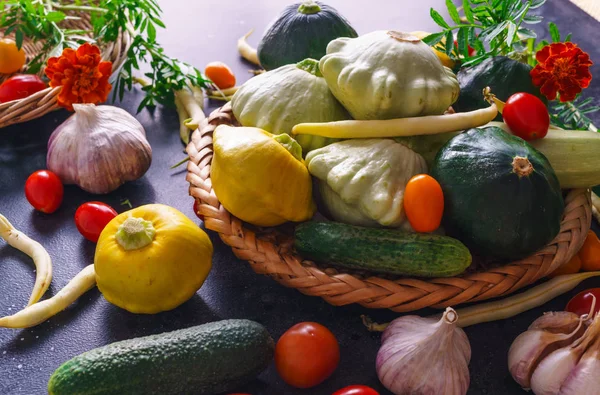 Diferentes verduras, pequeños pastos, junto con otras verduras, coliflor, brócoli, ajo, pepinos cultivados en una eco-granja . — Foto de Stock