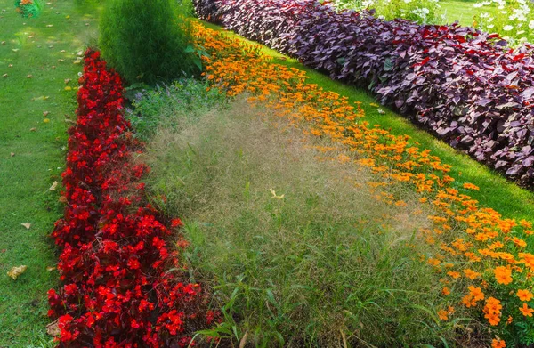 Hermoso paisaje del Jardín de Verano. Composición decorativa de flores de colores en Riga. Letonia . — Foto de Stock
