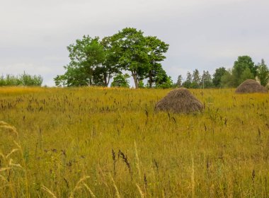 eski geleneksel saman yığınları, tipik kırsal sahne.