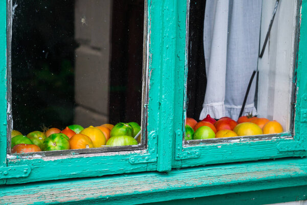 green-red tomatoes left to ripen on the windowsill.