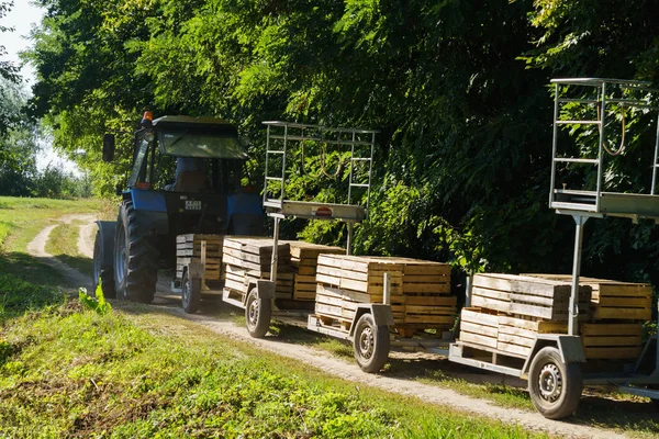 Vecchio trattore con un dispositivo per la raccolta delle mele. Scatole per la raccolta . — Foto Stock