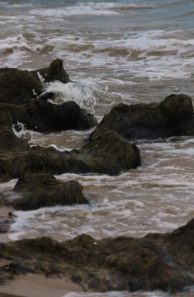 バルト海沿岸の廃棄海泥. — ストック写真