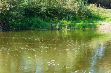 Yeşillikler ile çevrili nehrin manzarası, suya yansıdı.