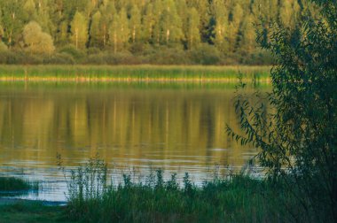Yeşillikler ile çevrili nehrin manzarası, suya yansıdı.