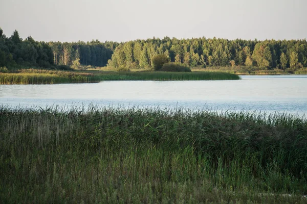 Rustige uitgestrektheid van het water op het meer in de schemering. — Stockfoto