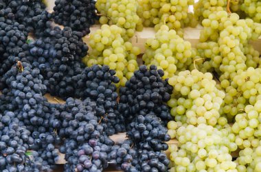 Pazarda güzel beyaz ve mavi üzüm kümeleri.