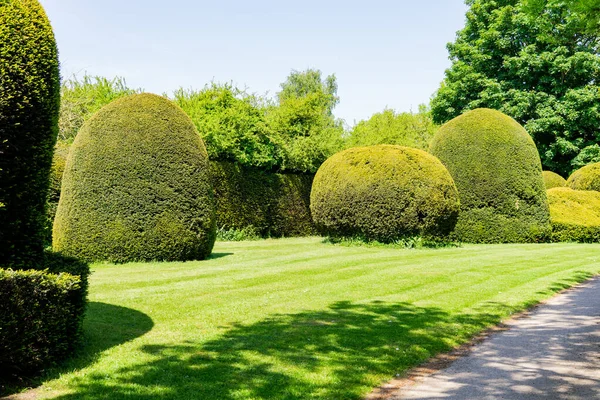 Trimmed trees in an old manor house in England. — Stock Photo, Image