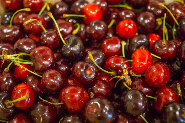 Cerises mûres fraîches biologiques sur un marché fermier local. Red Cherry Background. Concept de marché alimentaire local sain . — Photo