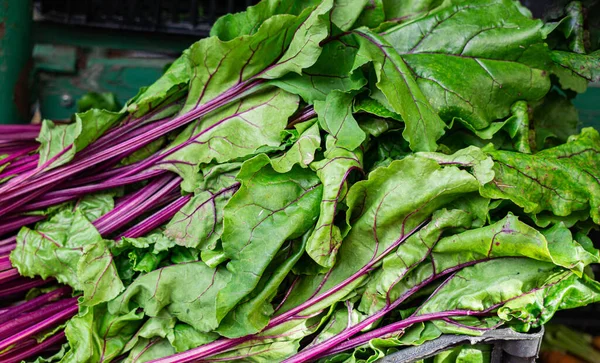 Young Beets Leaves Crate Market — Stock Photo, Image