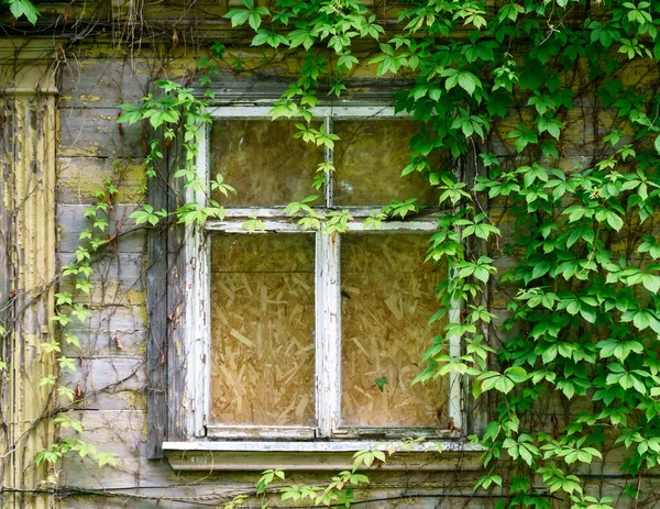 Die Wand Eines Alten Hauses Mit Einem Vergitterten Fenster Und — Stockfoto