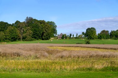 Letonya 'da bir köyde yaz manzarası