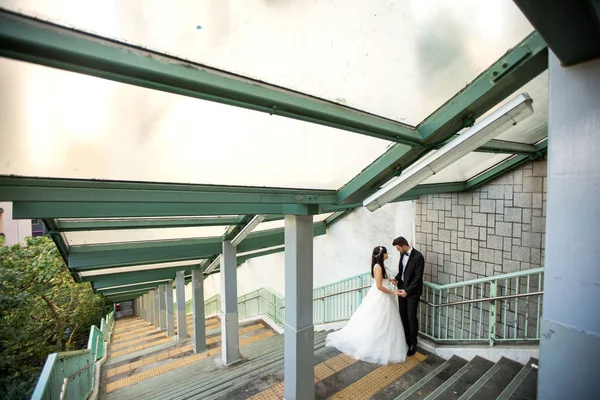 Hermosa Pareja Boda Posando Aire Libre —  Fotos de Stock