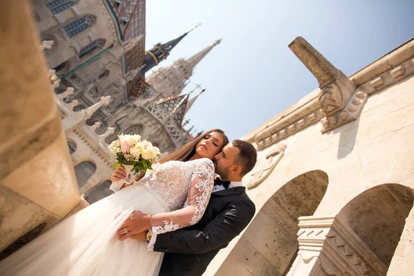 Schönes Hochzeitspaar Posiert Schloss — Stockfoto
