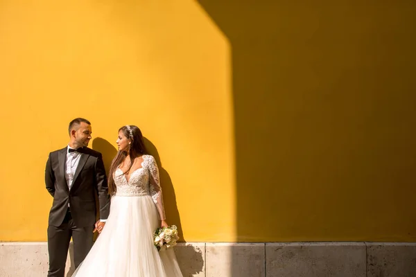 Vackra Bröllop Par Poserar Solen — Stockfoto