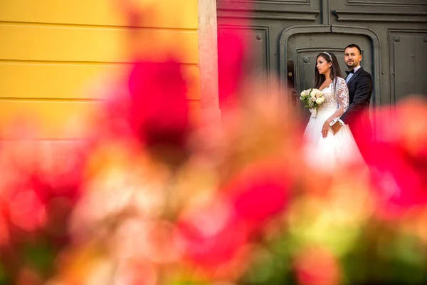 Pareja Boda Posando Frente Puerta Través Las Rosas Rojas —  Fotos de Stock