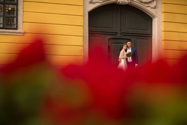 市の花に近いポーズ美しい結婚式のカップル — ストック写真