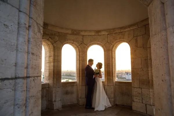 Schönes Hochzeitspaar Posiert Berühmtem Schloss — Stockfoto