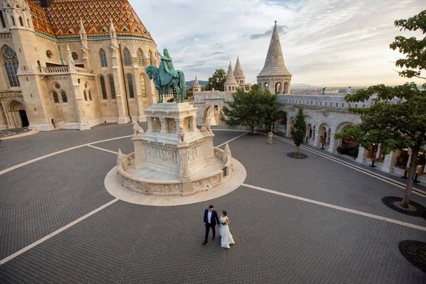 Schönes Hochzeitspaar Posiert Berühmtem Schloss — Stockfoto
