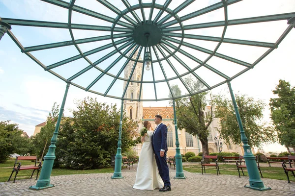 Hermosa Pareja Boda Posando Parque Bajo Arco Lujo —  Fotos de Stock