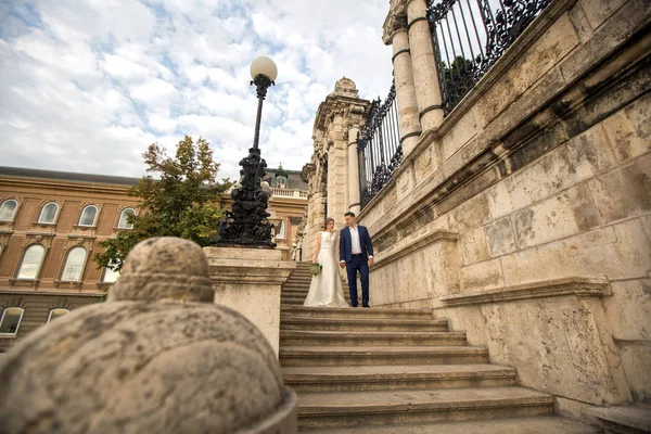愛の結婚式のカップル古い城近くの階段でポーズで — ストック写真