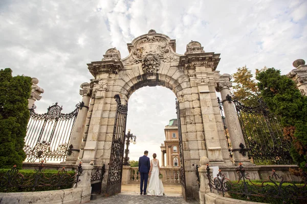 Красивая Свадебная Пара Позирует Старой Красивой Двери — стоковое фото