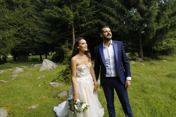 Beautiful Wedding Couple Posing Sun Forest — Stock Photo, Image
