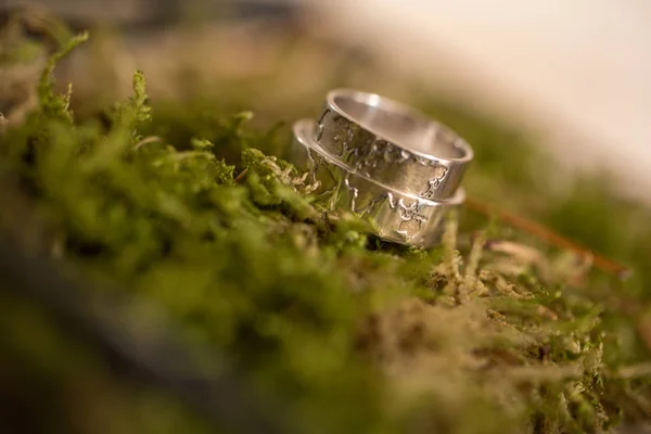 Belos Anéis Casamento Musgo — Fotografia de Stock