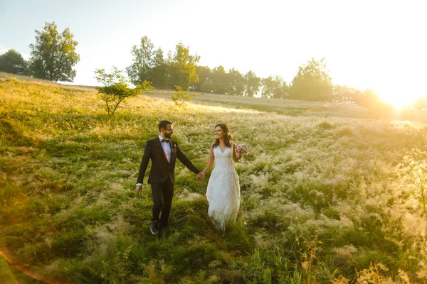 Прекрасная Свадебная Пара Невеста Жених Позируют Пшеничном Поле — стоковое фото