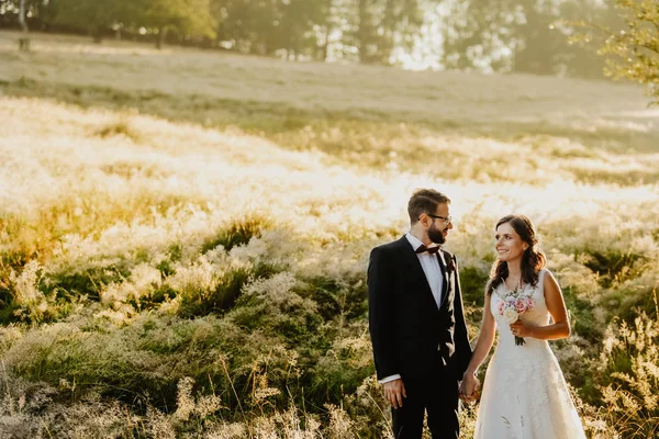 Krásné Svatební Pár Nevěsta Ženich Pózuje Pšeničné Pole — Stock fotografie