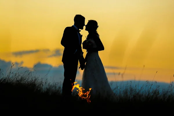 Silhouet Van Bruidspaar Poseren Zonsondergang — Stockfoto