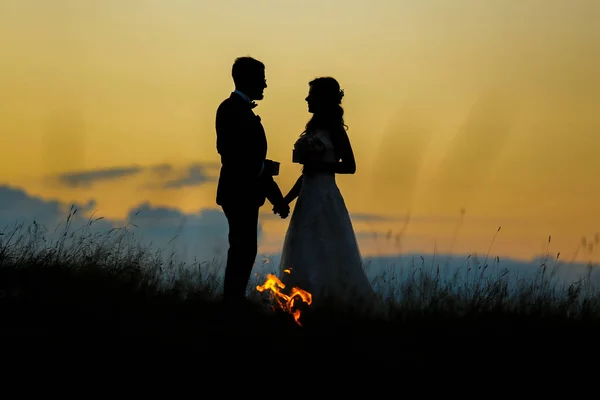 Silhueta Casamento Casal Posando Por Sol — Fotografia de Stock