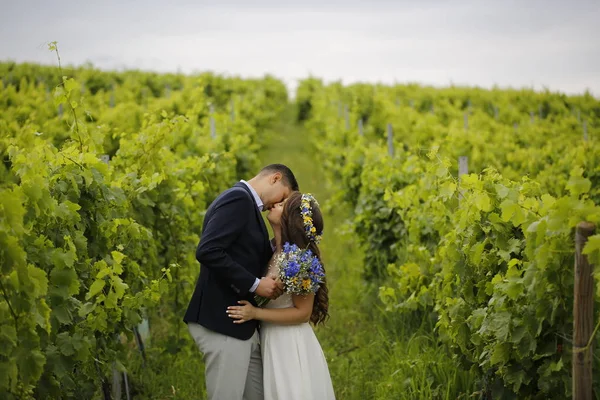 若い結婚式のカップルの愛のポーズで屋外のブドウ畑 — ストック写真