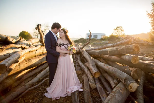 Hermosa Joven Pareja Boda Novia Novio Posando Cerca Corte Madera — Foto de Stock