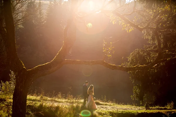 Beau Couple Mariage Posant Dans Nature — Photo