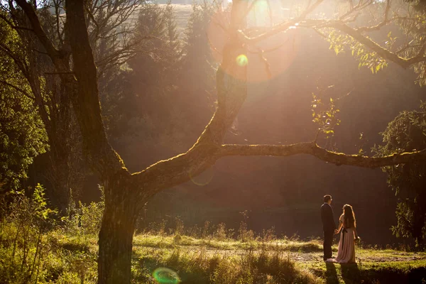 Hermosa Pareja Boda Posando Naturaleza — Foto de Stock