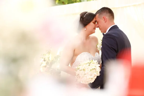 Beautiful Wedding Couple Posing Park Bride Bouquet Flowers Hands — Stock Photo, Image