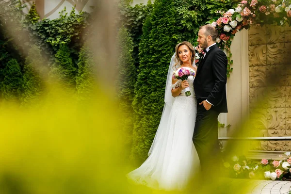 Beautiful Wedding Couple Posing Park Front Rose Crown — Stock Photo, Image