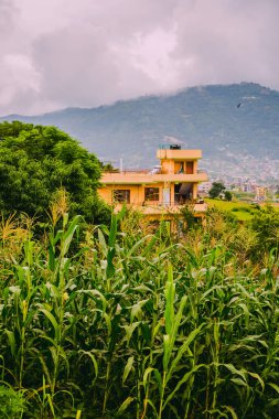 Kathmandu şehir sermaye, Nepal, kuş gözü görünümü Kathmandu şehir arka, üst görünüm Kathmandu şehir, Himalaya Dağları ile havadan görünümü.