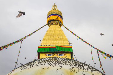Ünlü Budist tapınak Boudhanath Stupa dua bayrakları ve Katmandu Nepal, güvercinler ile dünyanın en büyük stupas biridir. Boudhanath Stupa, aynı zamanda Unesco Dünya mirası olduğunu.