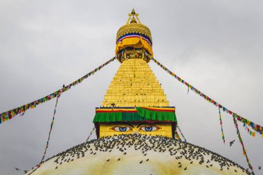 Ünlü Budist tapınak Boudhanath Stupa dua bayrakları ve Katmandu Nepal, güvercinler ile dünyanın en büyük stupas biridir. Boudhanath Stupa, aynı zamanda Unesco Dünya mirası olduğunu.