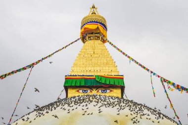 Ünlü Budist tapınak Boudhanath Stupa dua bayrakları ve Katmandu Nepal, güvercinler ile dünyanın en büyük stupas biridir. Boudhanath Stupa, aynı zamanda Unesco Dünya mirası olduğunu.