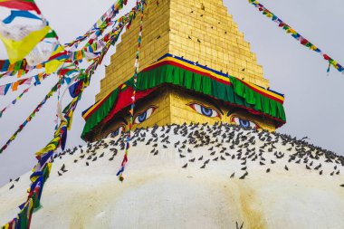 Ünlü Budist tapınak Boudhanath Stupa dua bayrakları ve Katmandu Nepal, güvercinler ile dünyanın en büyük stupas biridir. Boudhanath Stupa, aynı zamanda Unesco Dünya mirası olduğunu.