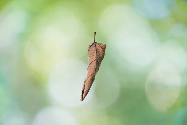 배경입니다 텍스처 — 스톡 사진