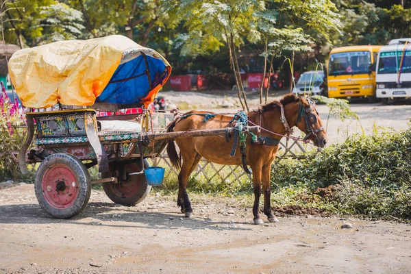 Horse Cart at Chitwan Sauraha,Nepal.The cart is a famous vehicle for Tourists.