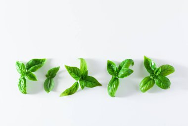 taze fesleğen yaprakları üzerinde beyaz izole. kopya alanı