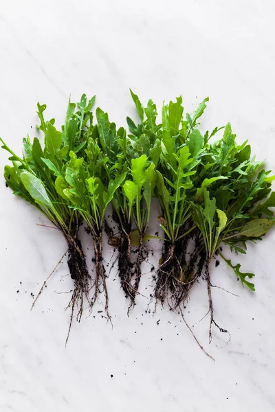 Punhado Arugula Fresco Com Raízes Solo Horta Uma Mesa Mármore — Fotografia de Stock