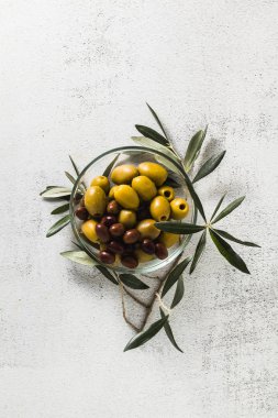 ürün yelpazesine zeytin şeffaf bir kase ve zeytin ağacı dalı. Yiyecek ya da meze. Ordövr
