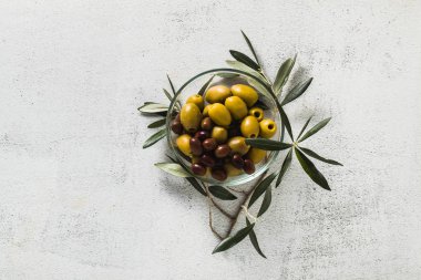 ürün yelpazesine zeytin şeffaf bir kase ve zeytin ağacı dalı. Yiyecek ya da meze. Ordövr