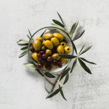 ürün yelpazesine zeytin şeffaf bir kase ve zeytin ağacı dalı. Yiyecek ya da meze. Ordövr