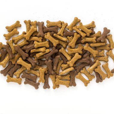 beyaz arka plan üzerinde izole kuru hayvan hayvan maması